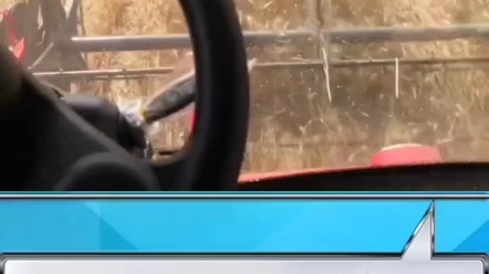 小麦收割农活信息