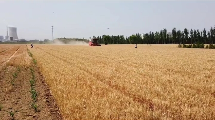 收割机驾照需要考哪些科目？