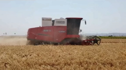 茎穗兼收玉米机领域又添实力悍将，中联收获玉米双收机您觉得怎么