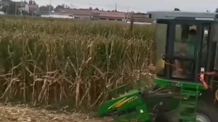 湖北省茎穗兼收玉米机补贴与摘穗剥皮玉米机差多少？