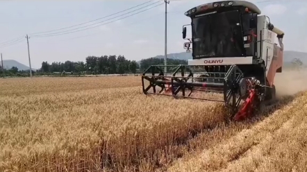 国产切纵轴流收割机，两款代表性产品，关注我带您看尽世界收割机