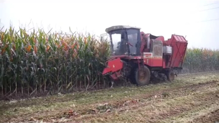 你心目中的玉米收割机是怎么样的