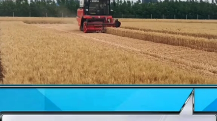 小麦收获安全注意事项