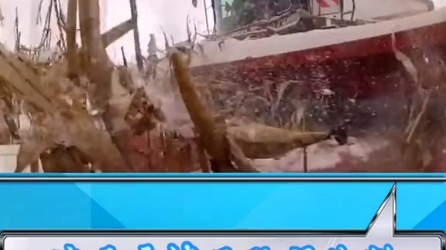 冰天雪地快乐收割农作物