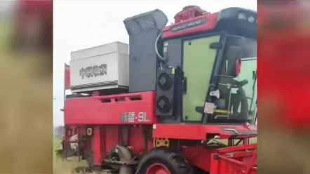 连日阴雨导致小麦发黑发芽，中联收获全力保障夏收作业