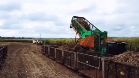 造型独特的它，是用来收获什么的？大家猜猜看。