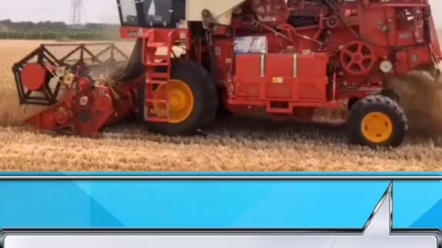 小麦收割农活信息