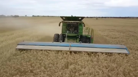 国外小麦是如何收割的