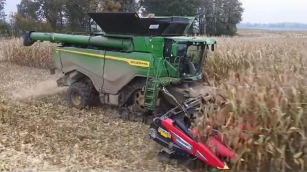 禁止农户违规卖干小麦，晾晒小麦也需要资质
