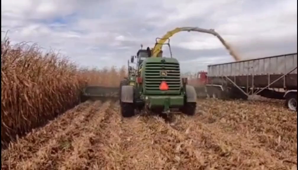 这款玉米青贮收割机，作业效率如何呢？@中联收获-玉米机#农业