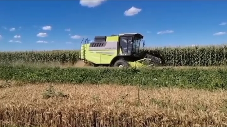 五一快乐!麦收即将开始，大家的收割机保养好了吗？